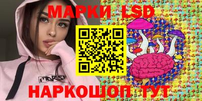 стафф Будённовск