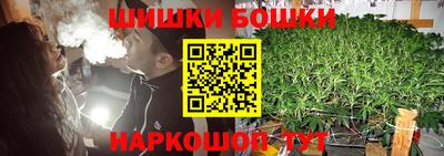 стафф Будённовск