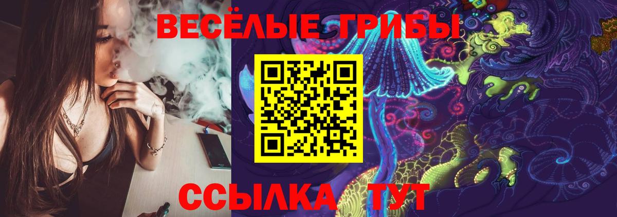 Узловая  Псилоцибиновые грибы ЛСД  Псилоцибиновые грибы прущие грибы  Вход с VPN 